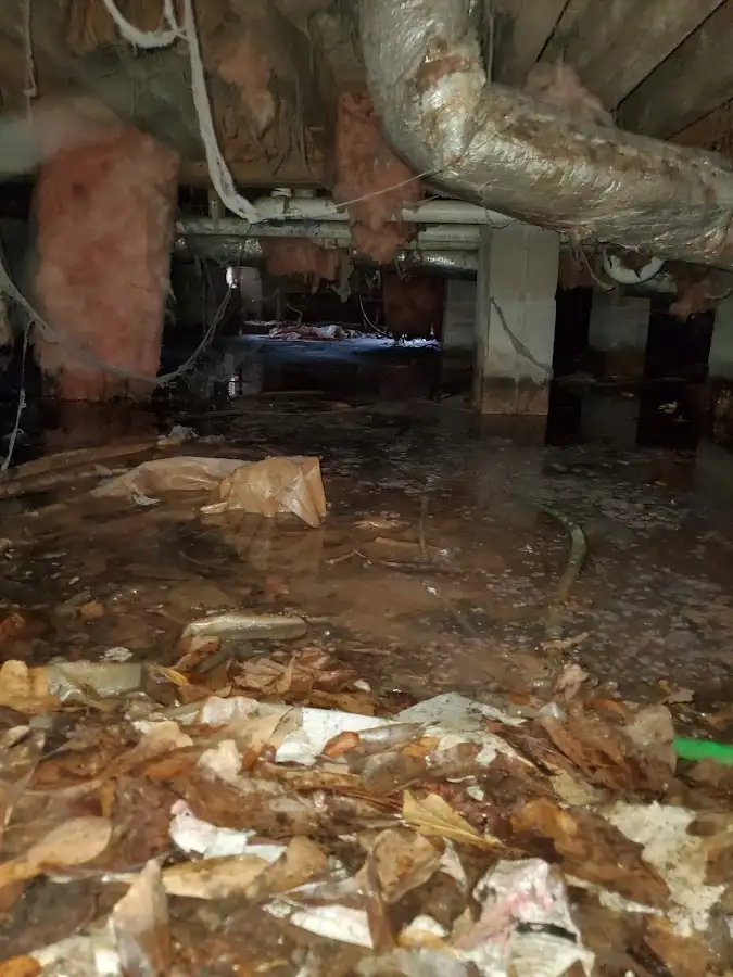 Crawl space flood assessment for Commercial Water Damage Restoration in Smiths Station