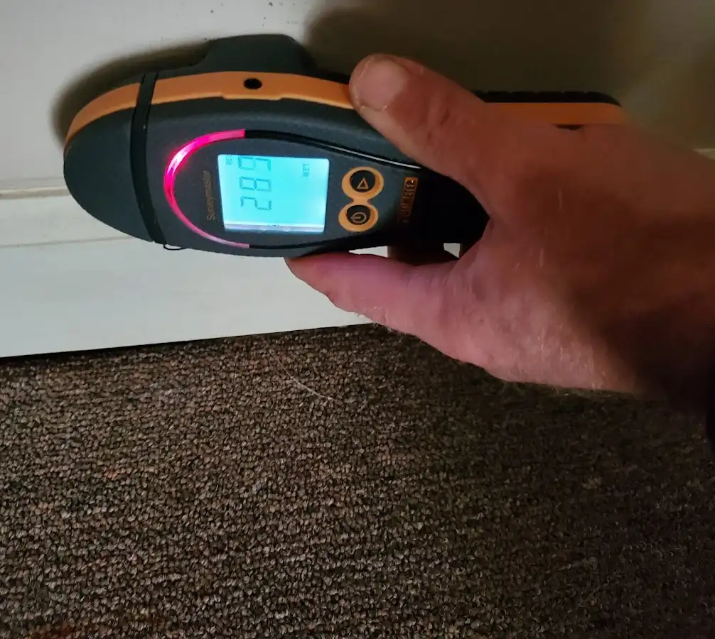 Moisture detection at baseboard during Sewage Cleanup & Sanitation in Smiths Station